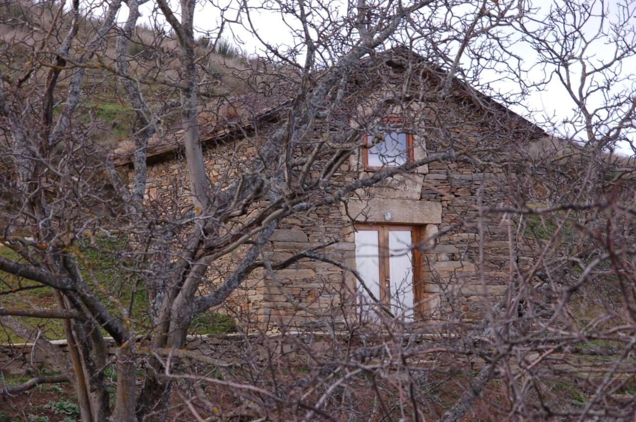 Quinta da Alagoa Santa Maria de Émeres Exterior foto