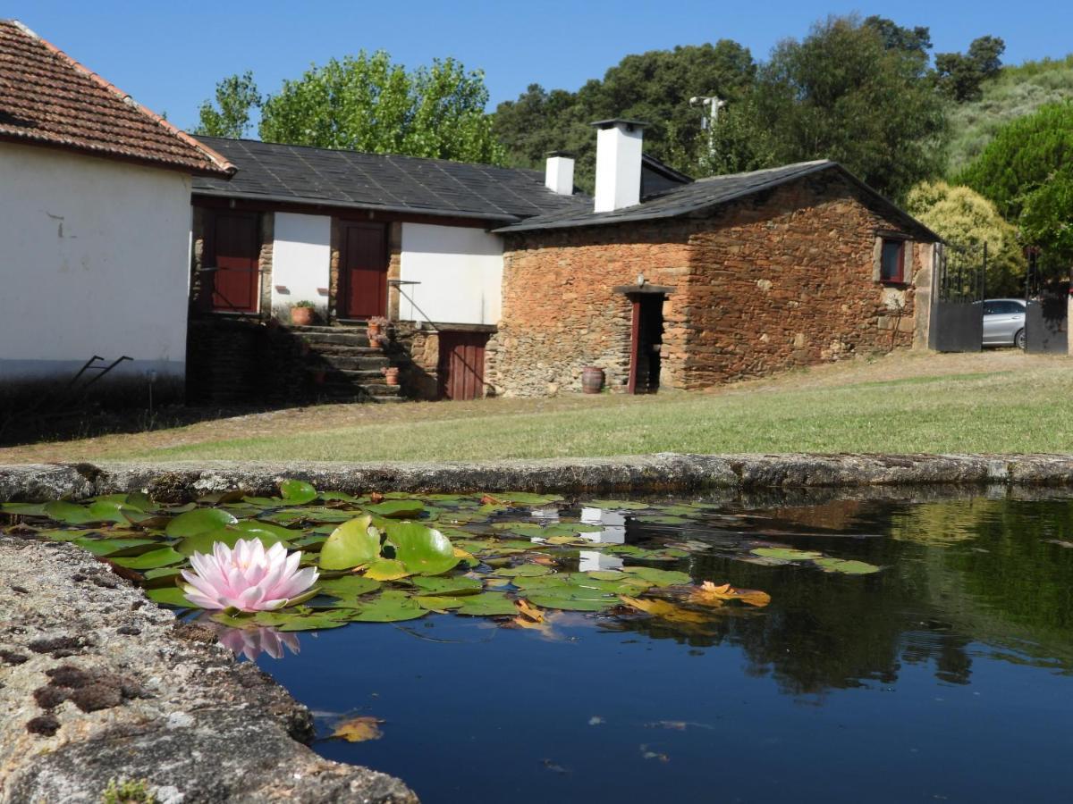 Quinta da Alagoa Santa Maria de Émeres Exterior foto