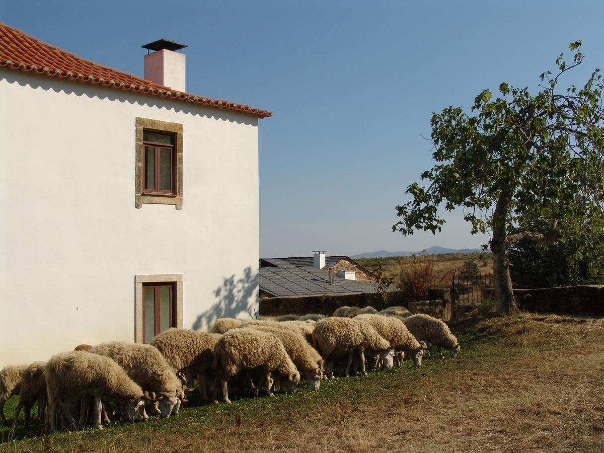 Quinta da Alagoa Santa Maria de Émeres Exterior foto