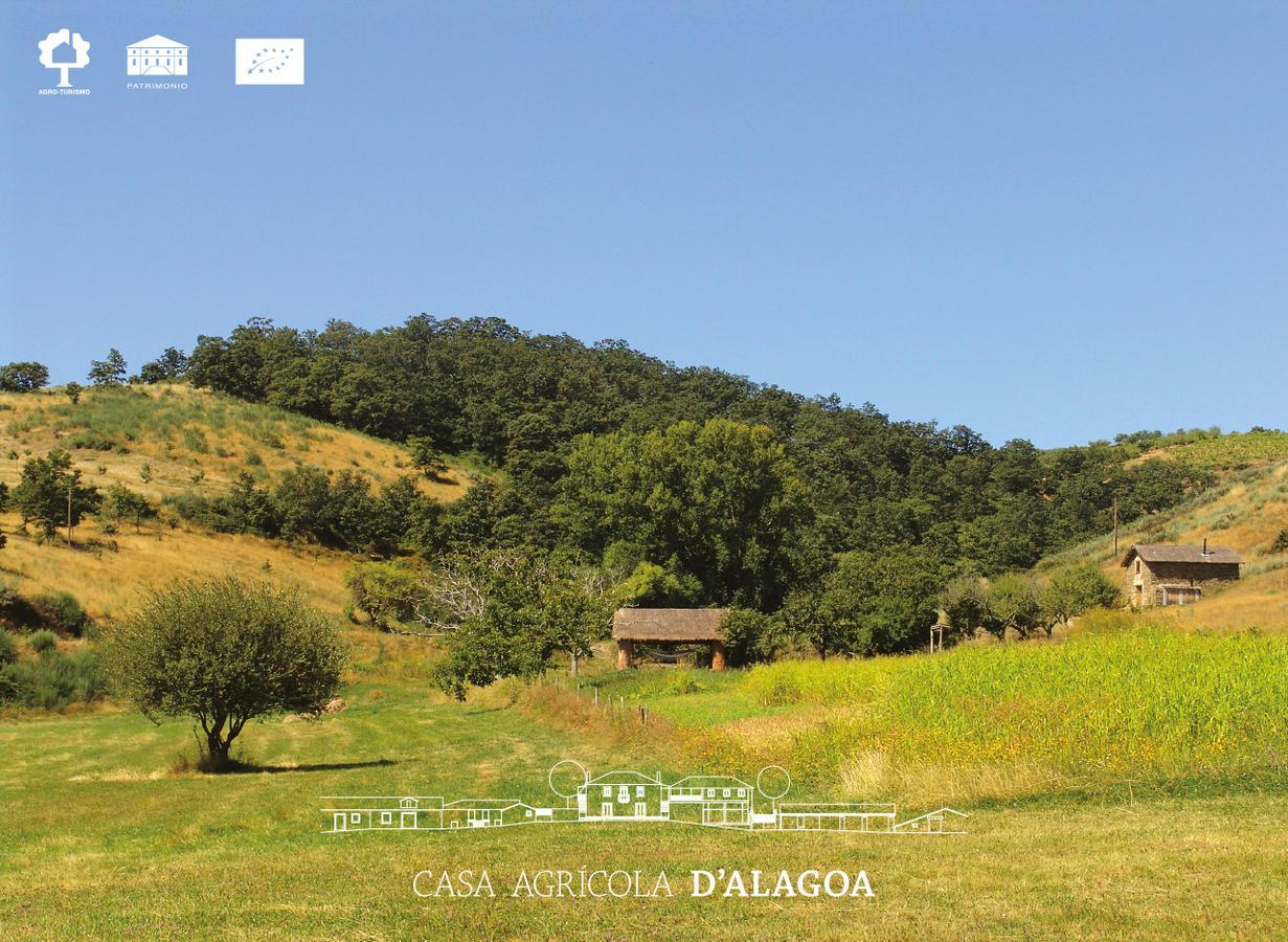 Quinta da Alagoa Santa Maria de Émeres Exterior foto