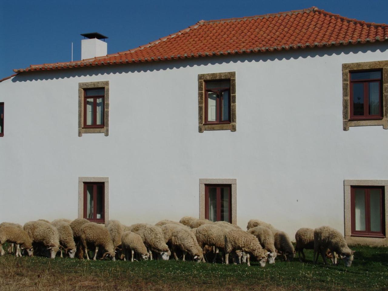 Quinta da Alagoa Santa Maria de Émeres Exterior foto
